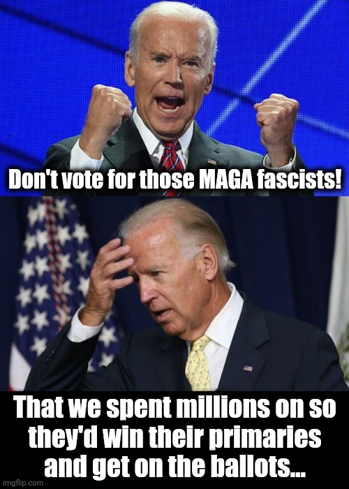Chickens coming home to roost | Don't vote for those MAGA fascists! That we spent millions on so
they'd win their primaries
and get on the ballots... | image tagged in joe biden fists angry,joe biden worries,maga,republicans,election 2022,primaries | made w/ Imgflip meme maker