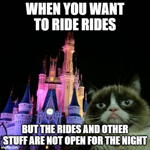 when the Rides are not open | WHEN YOU WANT TO RIDE RIDES; BUT THE RIDES AND OTHER STUFF ARE NOT OPEN FOR THE NIGHT | image tagged in grumpy cat disney | made w/ Imgflip meme maker