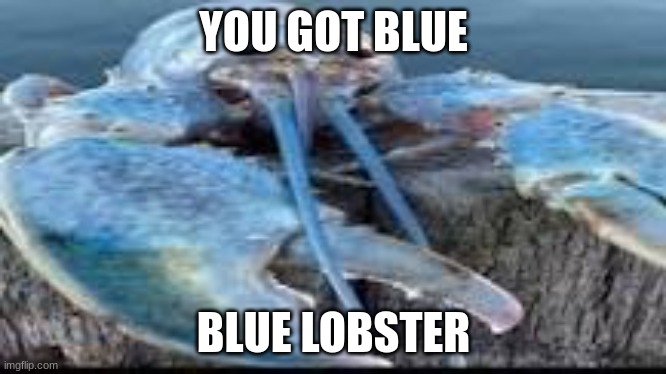 RAAHHHHHH | YOU GOT BLUE; BLUE LOBSTER | image tagged in funny memes | made w/ Imgflip meme maker
