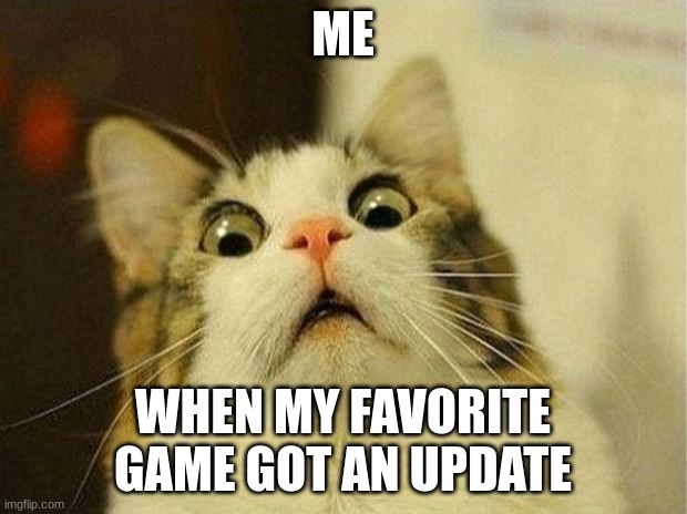 Game update | ME; WHEN MY FAVORITE GAME GOT AN UPDATE | image tagged in memes,scared cat | made w/ Imgflip meme maker
