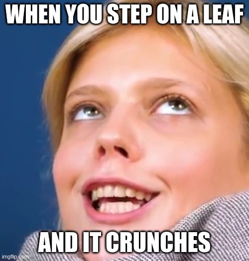 The satisfaction | WHEN YOU STEP ON A LEAF; AND IT CRUNCHES | image tagged in sara s satisfaction | made w/ Imgflip meme maker