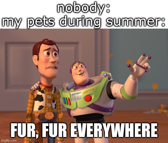 relatable? pet owners? | nobody:
my pets during summer:; FUR, FUR EVERYWHERE | image tagged in memes,x x everywhere | made w/ Imgflip meme maker