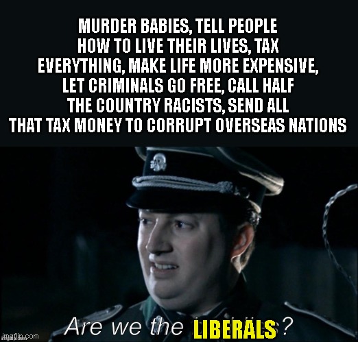 are we the baddies? | MURDER BABIES, TELL PEOPLE HOW TO LIVE THEIR LIVES, TAX EVERYTHING, MAKE LIFE MORE EXPENSIVE, LET CRIMINALS GO FREE, CALL HALF THE COUNTRY RACISTS, SEND ALL THAT TAX MONEY TO CORRUPT OVERSEAS NATIONS; LIBERALS | image tagged in are we the baddies | made w/ Imgflip meme maker