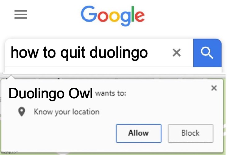 Wants to know your location |  how to quit duolingo; Duolingo Owl | image tagged in wants to know your location | made w/ Imgflip meme maker