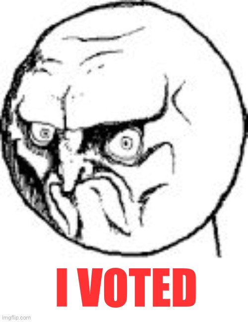 Election Day | I VOTED | image tagged in no guy,voting,elections | made w/ Imgflip meme maker