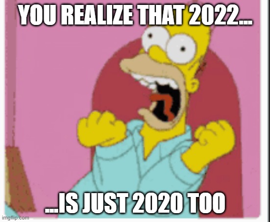 ( ⚆ _ ⚆ ) | YOU REALIZE THAT 2022... ...IS JUST 2020 TOO | image tagged in 2022,homer simpson | made w/ Imgflip meme maker