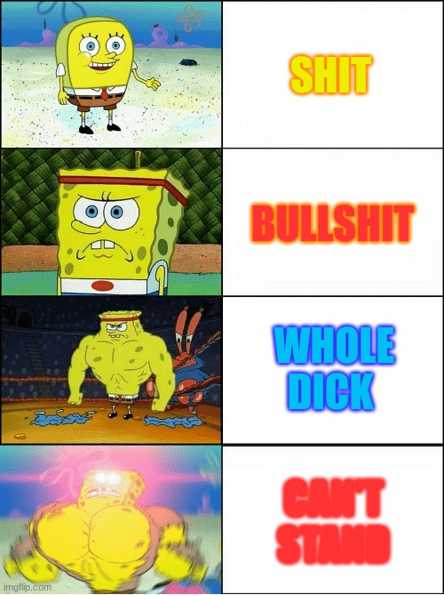 this is how I would treat a person by their rank | SHIT; BULLSHIT; WHOLE DICK; CAN'T STAND | image tagged in sponge finna commit muder | made w/ Imgflip meme maker