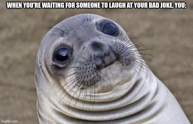 Awkward Moment Sealion | WHEN YOU'RE WAITING FOR SOMEONE TO LAUGH AT YOUR BAD JOKE. YOU: | image tagged in memes,awkward moment sealion | made w/ Imgflip meme maker