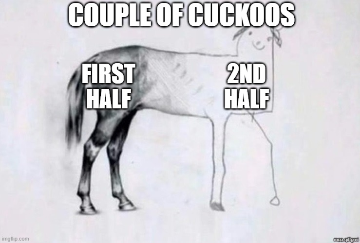 Horse Drawing | COUPLE OF CUCKOOS; FIRST HALF; 2ND HALF | image tagged in horse drawing | made w/ Imgflip meme maker