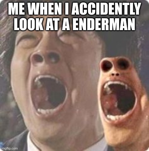 At this moment he knew, he screwed up | ME WHEN I ACCIDENTLY LOOK AT A ENDERMAN | image tagged in aaaaaaaaaaaaaaaaaaaaaaaaaaaaaaaaaaaaaaaaaaaaaaaaaa,funny,memes | made w/ Imgflip meme maker