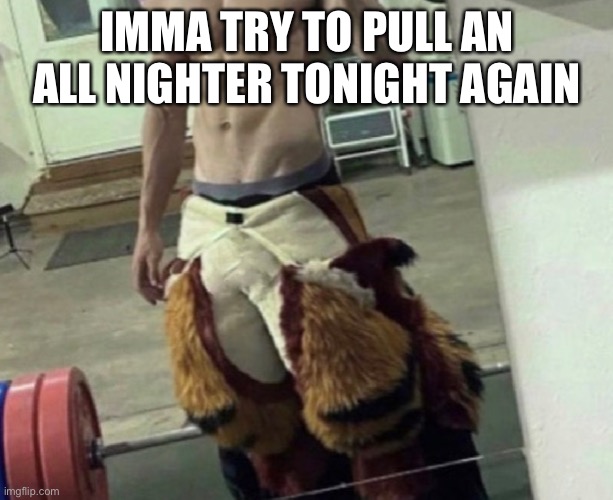the | IMMA TRY TO PULL AN ALL NIGHTER TONIGHT AGAIN | image tagged in lordreaperus | made w/ Imgflip meme maker
