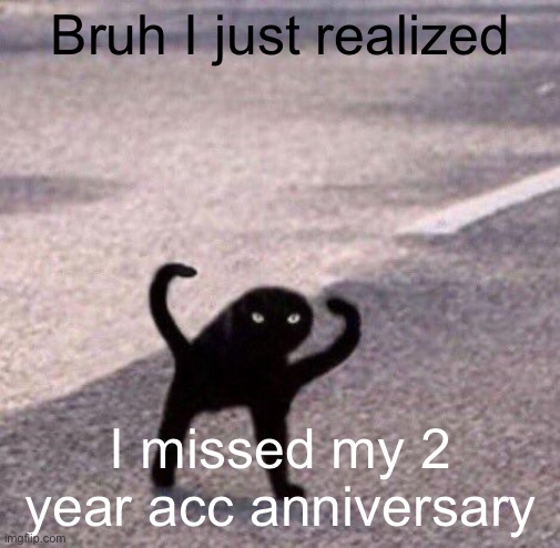 Cursed cat temp | Bruh I just realized; I missed my 2 year acc anniversary | image tagged in cursed cat temp | made w/ Imgflip meme maker