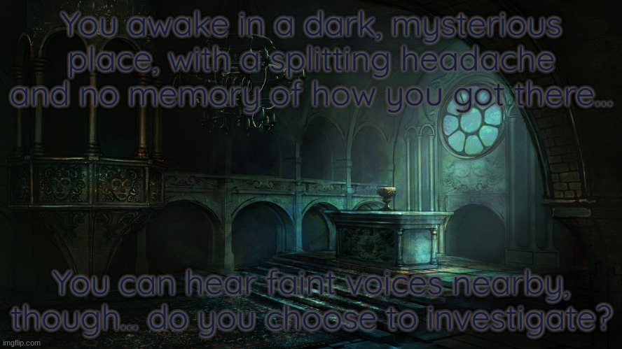 No OP or joke OCs, as always. I hope you enjoy!~ | You awake in a dark, mysterious place, with a splitting headache and no memory of how you got there... You can hear faint voices nearby, though... do you choose to investigate? | made w/ Imgflip meme maker