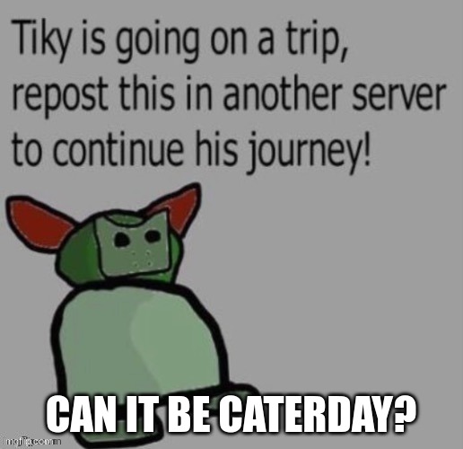 caterday=saterday | CAN IT BE CATERDAY? | image tagged in tiky | made w/ Imgflip meme maker