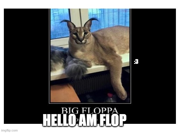 :3; HELLO AM FLOP | image tagged in big floppa | made w/ Imgflip meme maker