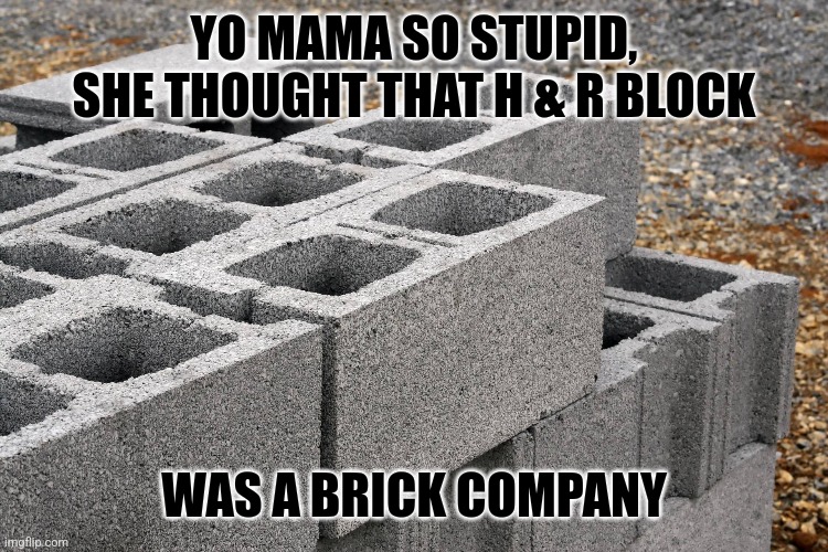 YO MAMA | YO MAMA SO STUPID, SHE THOUGHT THAT H & R BLOCK; WAS A BRICK COMPANY | image tagged in dumbass | made w/ Imgflip meme maker