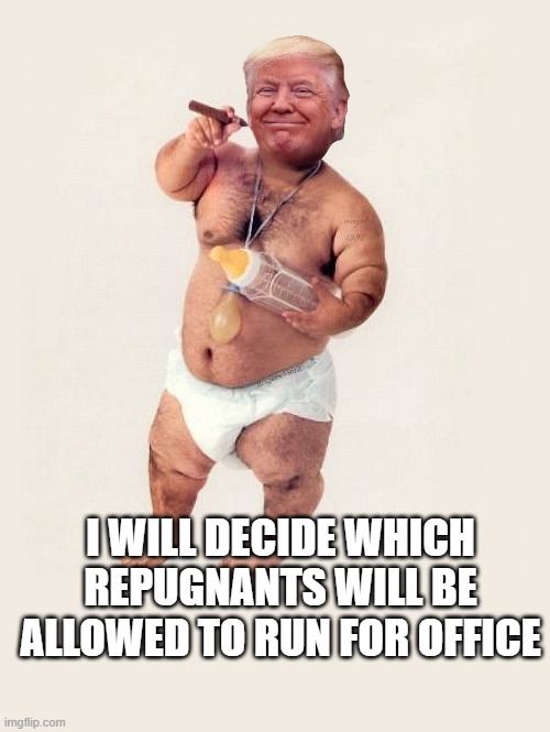 I throw tantrums and have tiny hands | I WILL DECIDE WHICH REPUGNANTS WILL BE ALLOWED TO RUN FOR OFFICE | image tagged in diaper donny | made w/ Imgflip meme maker