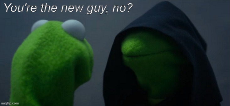Evil Kermit | You're the new guy, no? | image tagged in memes,evil kermit | made w/ Imgflip meme maker