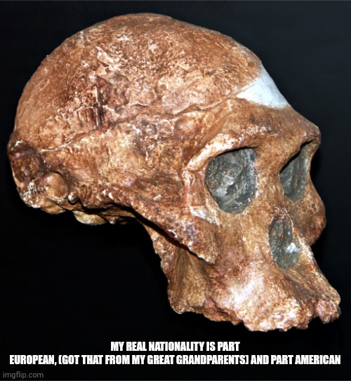 skull | MY REAL NATIONALITY IS PART EUROPEAN, (GOT THAT FROM MY GREAT GRANDPARENTS) AND PART AMERICAN | image tagged in skull | made w/ Imgflip meme maker
