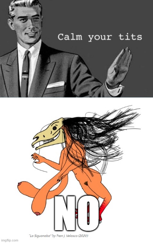 NO | made w/ Imgflip meme maker