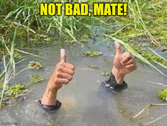 FLOODING THUMBS UP | NOT BAD, MATE! | image tagged in flooding thumbs up | made w/ Imgflip meme maker