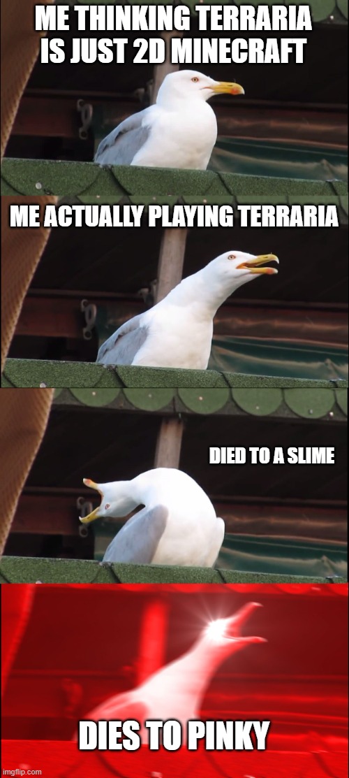Inhaling Seagull Meme | ME THINKING TERRARIA IS JUST 2D MINECRAFT; ME ACTUALLY PLAYING TERRARIA; DIED TO A SLIME; DIES TO PINKY | image tagged in memes,inhaling seagull | made w/ Imgflip meme maker