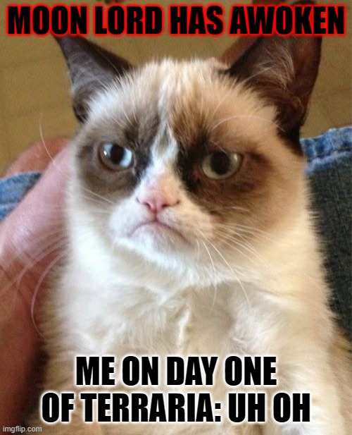 Grumpy Cat | MOON LORD HAS AWOKEN; ME ON DAY ONE OF TERRARIA: UH OH | image tagged in memes,grumpy cat | made w/ Imgflip meme maker