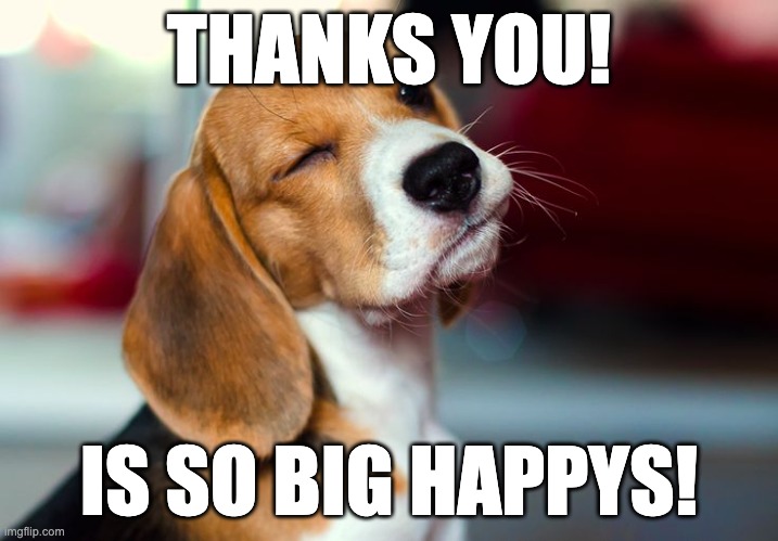 Winking Beagle | THANKS YOU! IS SO BIG HAPPYS! | image tagged in winking beagle | made w/ Imgflip meme maker