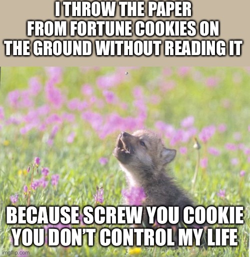 Baby Insanity Wolf Meme | I THROW THE PAPER FROM FORTUNE COOKIES ON THE GROUND WITHOUT READING IT; BECAUSE SCREW YOU COOKIE YOU DON’T CONTROL MY LIFE | image tagged in memes,baby insanity wolf | made w/ Imgflip meme maker