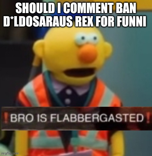 Flabbergasted Yellow Guy | SHOULD I COMMENT BAN D*LDOSARAUS REX FOR FUNNI | image tagged in flabbergasted yellow guy | made w/ Imgflip meme maker