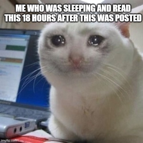 Crying cat | ME WHO WAS SLEEPING AND READ THIS 18 HOURS AFTER THIS WAS POSTED | image tagged in crying cat | made w/ Imgflip meme maker