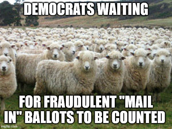 Democrats are Sheep | DEMOCRATS WAITING; FOR FRAUDULENT "MAIL IN" BALLOTS TO BE COUNTED | image tagged in democrats are sheep | made w/ Imgflip meme maker