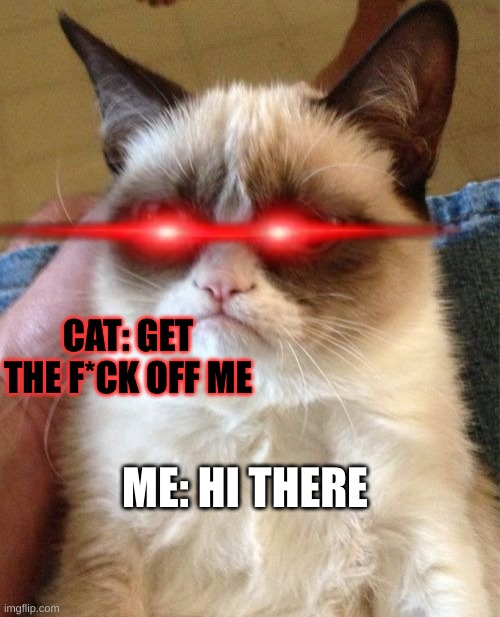 BAD cat | CAT: GET THE F*CK OFF ME; ME: HI THERE | image tagged in memes,grumpy cat | made w/ Imgflip meme maker