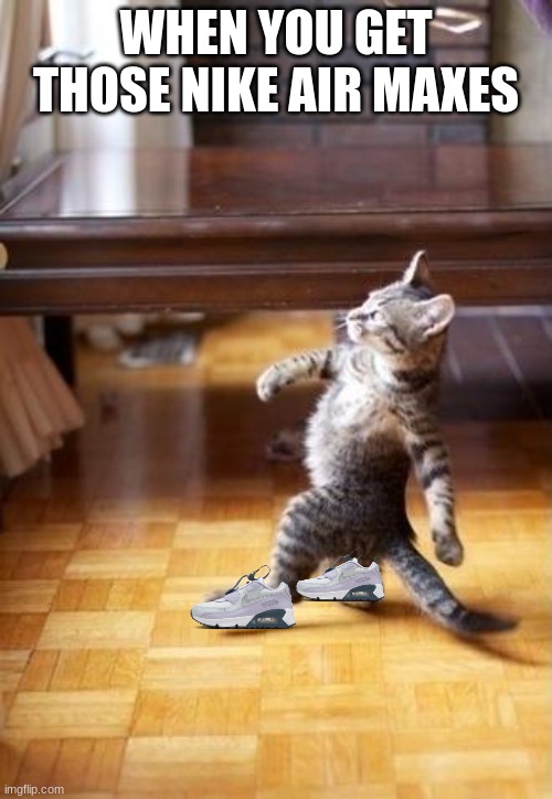 Cool Cat Stroll Meme | WHEN YOU GET THOSE NIKE AIR MAXES | image tagged in memes,cool cat stroll,nike air max,shoes,cats | made w/ Imgflip meme maker