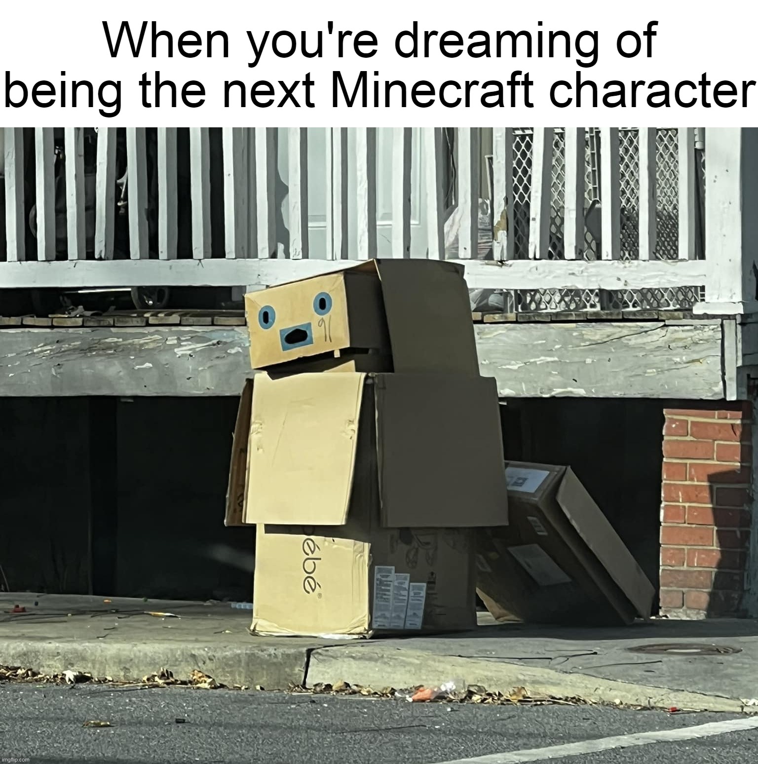 When you're dreaming of being the next Minecraft character | image tagged in meme,memes,humor,funny,minecraft | made w/ Imgflip meme maker