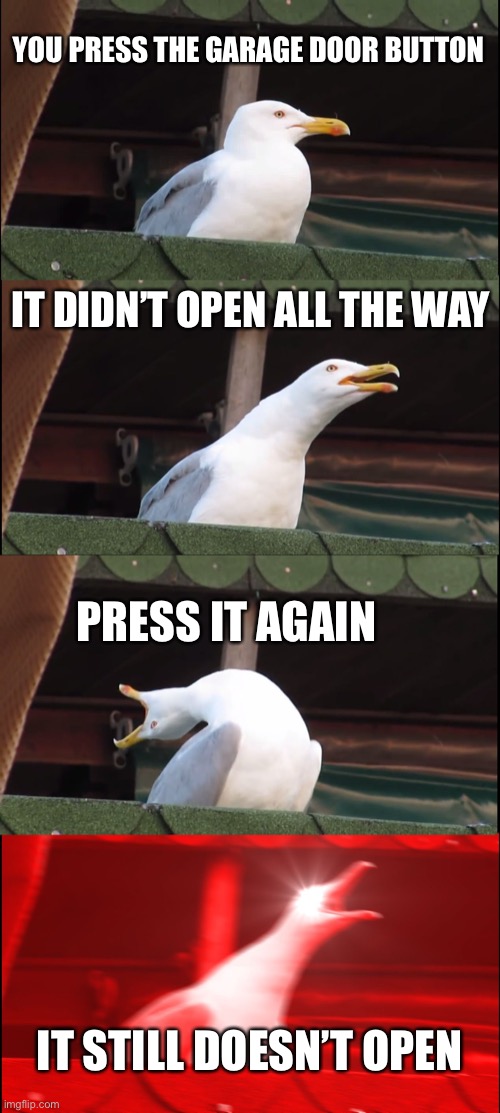 Inhaling Seagull | YOU PRESS THE GARAGE DOOR BUTTON; IT DIDN’T OPEN ALL THE WAY; PRESS IT AGAIN; IT STILL DOESN’T OPEN | image tagged in memes,inhaling seagull | made w/ Imgflip meme maker
