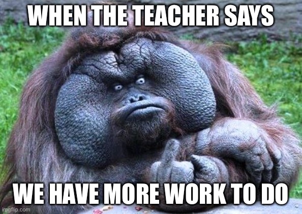 I hate work | WHEN THE TEACHER SAYS; WE HAVE MORE WORK TO DO | image tagged in gorilla glue | made w/ Imgflip meme maker