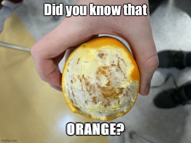 Did you know that; ORANGE? | image tagged in did you know that orange | made w/ Imgflip meme maker