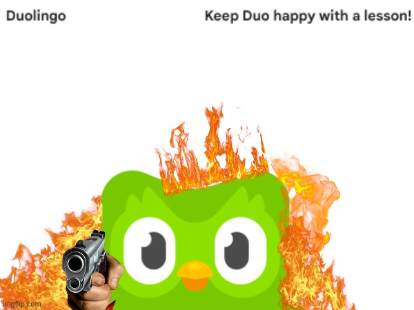 Duo is angry | image tagged in duolingo,memes | made w/ Imgflip meme maker