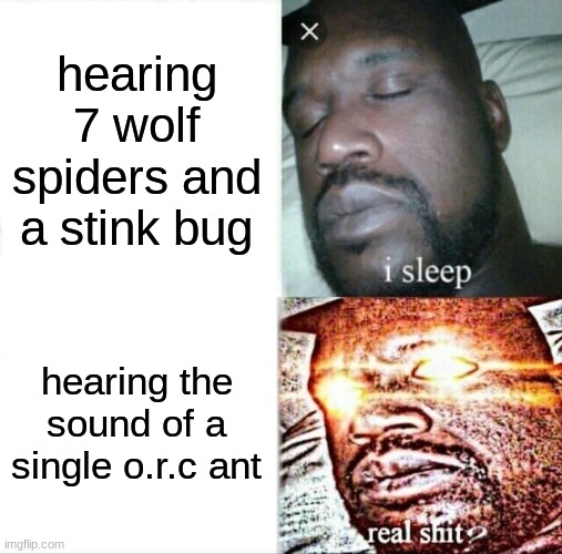 i just hate o.r.cs in general cause they dont stop appearing | hearing 7 wolf spiders and a stink bug; hearing the sound of a single o.r.c ant | image tagged in memes,sleeping shaq | made w/ Imgflip meme maker