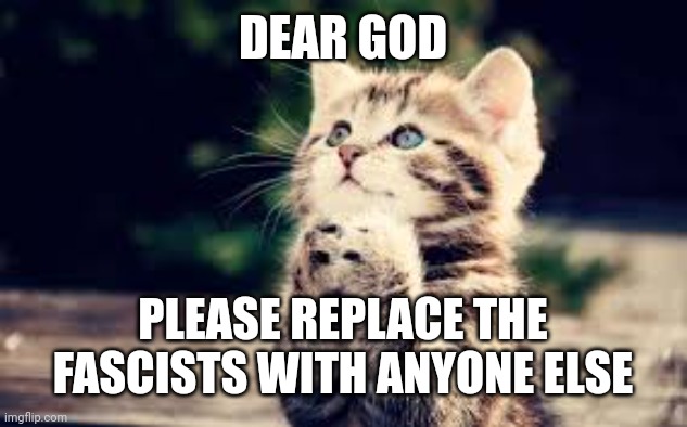 prayer | DEAR GOD PLEASE REPLACE THE FASCISTS WITH ANYONE ELSE | image tagged in prayer | made w/ Imgflip meme maker