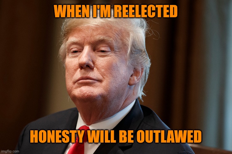 Trump | WHEN I'M REELECTED HONESTY WILL BE OUTLAWED | image tagged in trump | made w/ Imgflip meme maker