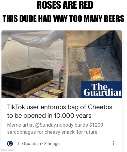 It had to be a TikTok user | ROSES ARE RED; THIS DUDE HAD WAY TOO MANY BEERS | image tagged in cheetos,tiktok sucks,roses are red | made w/ Imgflip meme maker