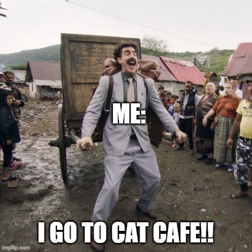 Borat | ME: I GO TO CAT CAFE!! | image tagged in borat | made w/ Imgflip meme maker