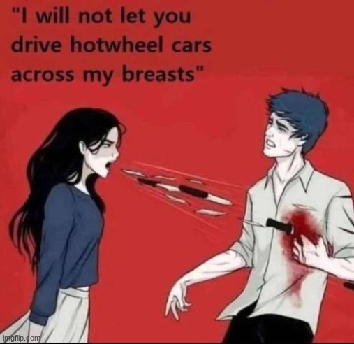 image tagged in i will not let you drive hotwheel cars across my breasts | made w/ Imgflip meme maker