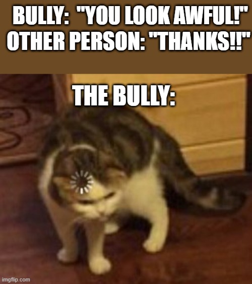 This hapended to sombody today. it was so funny. | OTHER PERSON: "THANKS!!"; BULLY:  "YOU LOOK AWFUL!"; THE BULLY: | image tagged in loading cat,cats,bully,loading,memes,funny memes | made w/ Imgflip meme maker