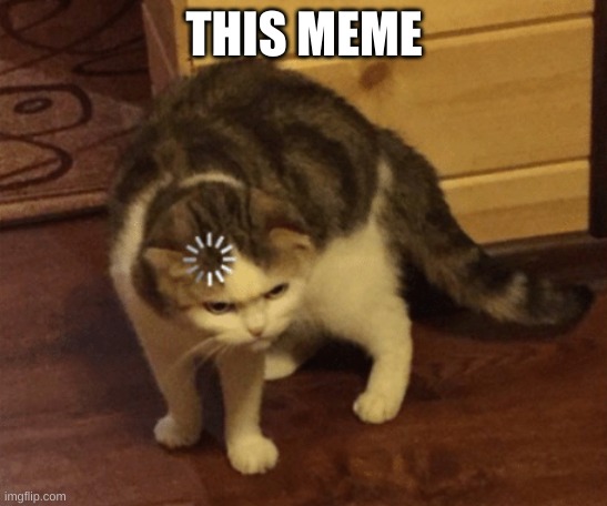 Lag Cat | THIS MEME | image tagged in lag cat | made w/ Imgflip meme maker
