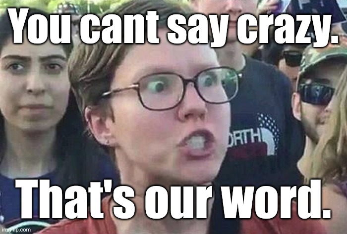 Triggered Liberal | You cant say crazy. That's our word. | image tagged in triggered liberal | made w/ Imgflip meme maker