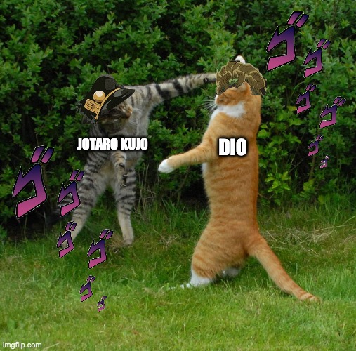 JOJO PART 3 | JOTARO KUJO; DIO | image tagged in two cats fighting,jojo's bizarre adventure | made w/ Imgflip meme maker