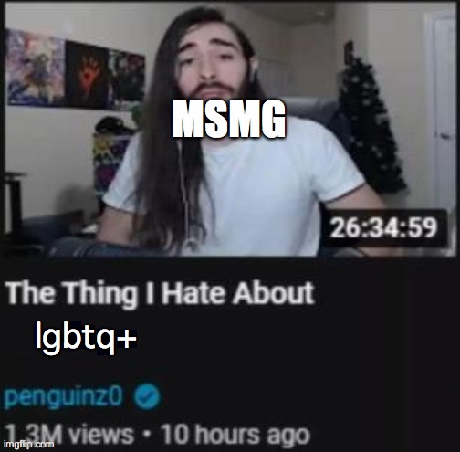The Thing I Hate About ___ | MSMG; lgbtq+ | image tagged in the thing i hate about ___ | made w/ Imgflip meme maker